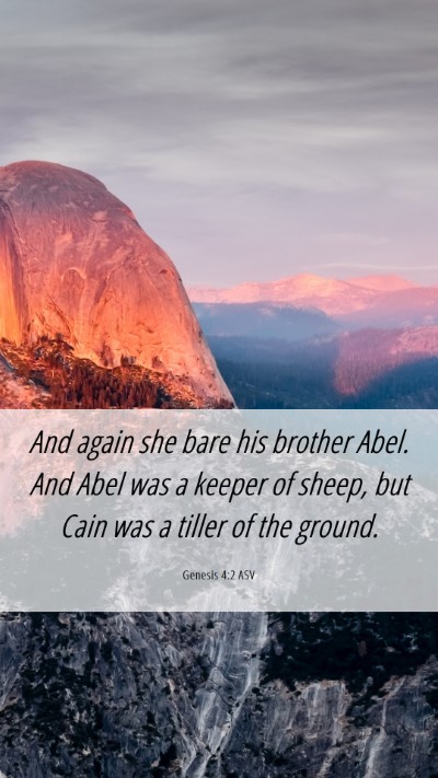 Picture 06 - Genesis 4:2 ASV Mobile Phone Wallpaper - And again she bare his brother Abel. And Abel was - Mobile Bible Verse Wallpaper