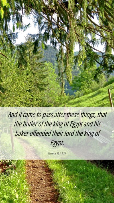 Picture 06 - Genesis 40:1 ASV Mobile Phone Wallpaper - And it came to pass after these things, that the - Mobile Bible Verse Wallpaper