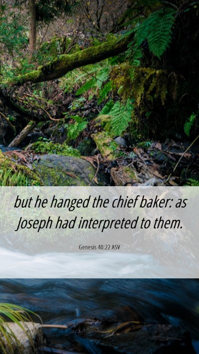 Picture 06 - Genesis 40:22 ASV Mobile Phone Wallpaper - but he hanged the chief baker: as Joseph had - Mobile Bible Verse Wallpaper