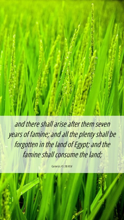 Picture 06 - Genesis 41:30 ASV Mobile Phone Wallpaper - and there shall arise after them seven years of - Mobile Bible Verse Wallpaper
