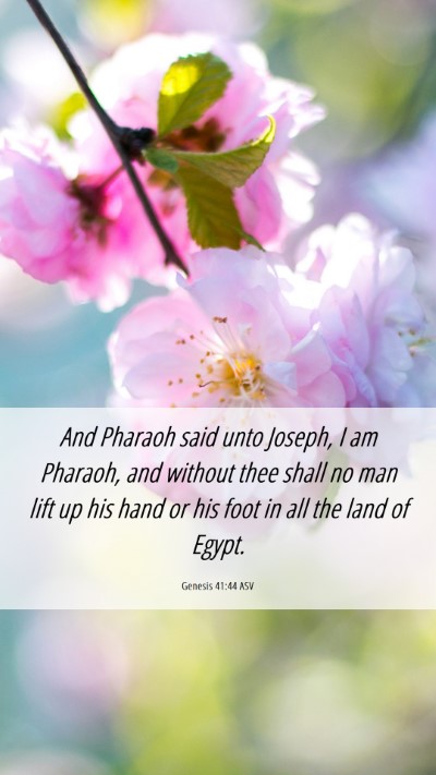 Picture 06 - Genesis 41:44 ASV Mobile Phone Wallpaper - And Pharaoh said unto Joseph, I am Pharaoh, and - Mobile Bible Verse Wallpaper