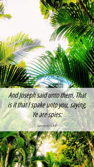 Picture 06 - Genesis 42:14 ASV Mobile Phone Wallpaper - And Joseph said unto them, That is it that I - Mobile Bible Verse Wallpaper