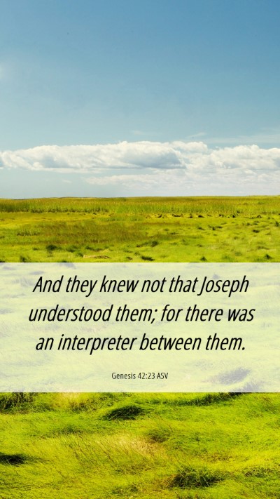 Picture 06 - Genesis 42:23 ASV Mobile Phone Wallpaper - And they knew not that Joseph understood them; - Mobile Bible Verse Wallpaper