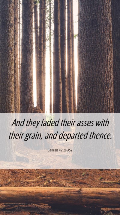 Picture 06 - Genesis 42:26 ASV Mobile Phone Wallpaper - And they laded their asses with their grain, and - Mobile Bible Verse Wallpaper