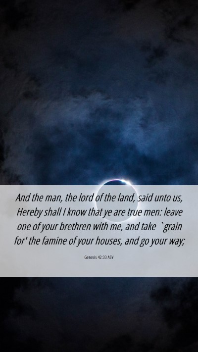 Picture 06 - Genesis 42:33 ASV Mobile Phone Wallpaper - And the man, the lord of the land, said unto us, - Mobile Bible Verse Wallpaper