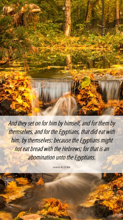 Picture 06 - Genesis 43:32 ASV Mobile Phone Wallpaper - And they set on for him by himself, and for them - Mobile Bible Verse Wallpaper