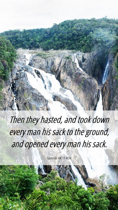 Picture 06 - Genesis 44:11 ASV Mobile Phone Wallpaper - Then they hasted, and took down every man his - Mobile Bible Verse Wallpaper