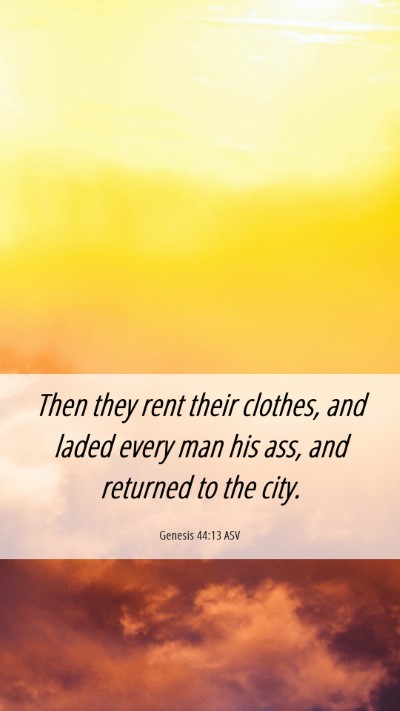 Picture 06 - Genesis 44:13 ASV Mobile Phone Wallpaper - Then they rent their clothes, and laded every man - Mobile Bible Verse Wallpaper