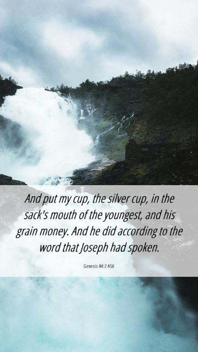 Picture 06 - Genesis 44:2 ASV Mobile Phone Wallpaper - And put my cup, the silver cup, in the sack's - Mobile Bible Verse Wallpaper