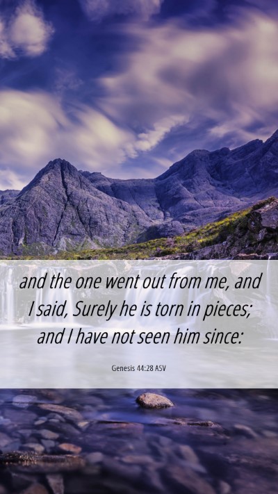 Picture 06 - Genesis 44:28 ASV Mobile Phone Wallpaper - and the one went out from me, and I said, Surely - Mobile Bible Verse Wallpaper