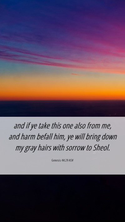 Picture 06 - Genesis 44:29 ASV Mobile Phone Wallpaper - and if ye take this one also from me, and harm - Mobile Bible Verse Wallpaper
