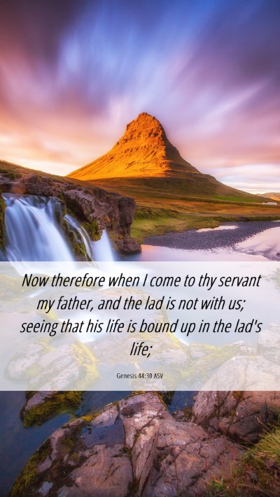 Picture 06 - Genesis 44:30 ASV Mobile Phone Wallpaper - Now therefore when I come to thy servant my - Mobile Bible Verse Wallpaper