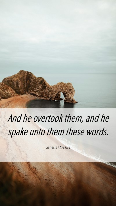 Picture 06 - Genesis 44:6 ASV Mobile Phone Wallpaper - And he overtook them, and he spake unto them - Mobile Bible Verse Wallpaper