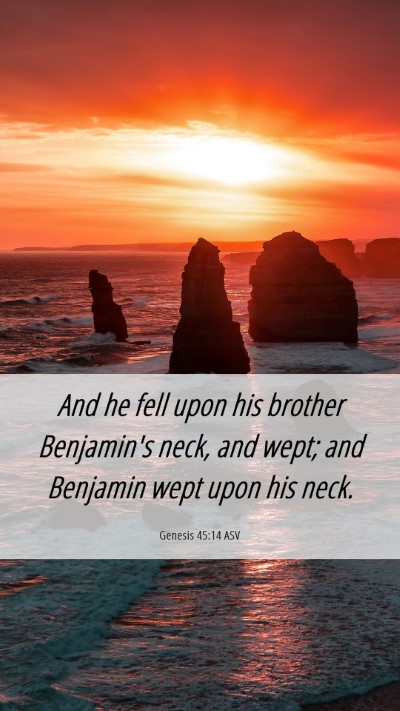 Picture 06 - Genesis 45:14 ASV Mobile Phone Wallpaper - And he fell upon his brother Benjamin's neck, and - Mobile Bible Verse Wallpaper