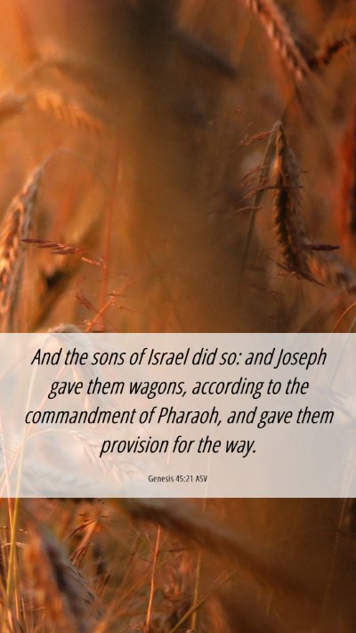 Picture 06 - Genesis 45:21 ASV Mobile Phone Wallpaper - And the sons of Israel did so: and Joseph gave - Mobile Bible Verse Wallpaper