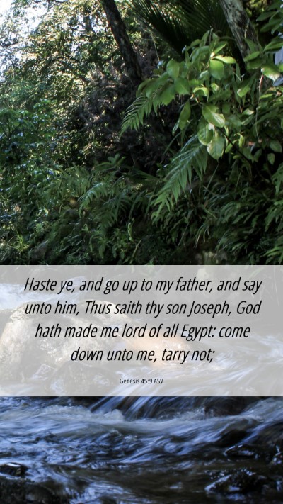 Picture 06 - Genesis 45:9 ASV Mobile Phone Wallpaper - Haste ye, and go up to my father, and say unto - Mobile Bible Verse Wallpaper