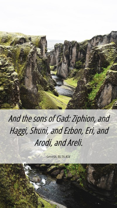 Picture 06 - Genesis 46:16 ASV Mobile Phone Wallpaper - And the sons of Gad: Ziphion, and Haggi, Shuni, - Mobile Bible Verse Wallpaper