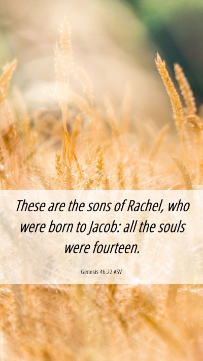 Picture 06 - Genesis 46:22 ASV Mobile Phone Wallpaper - These are the sons of Rachel, who were born to - Mobile Bible Verse Wallpaper