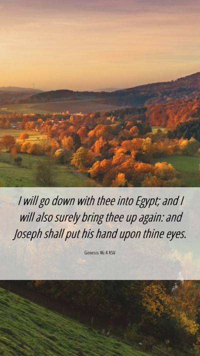Picture 06 - Genesis 46:4 ASV Mobile Phone Wallpaper - I will go down with thee into Egypt; and I will - Mobile Bible Verse Wallpaper
