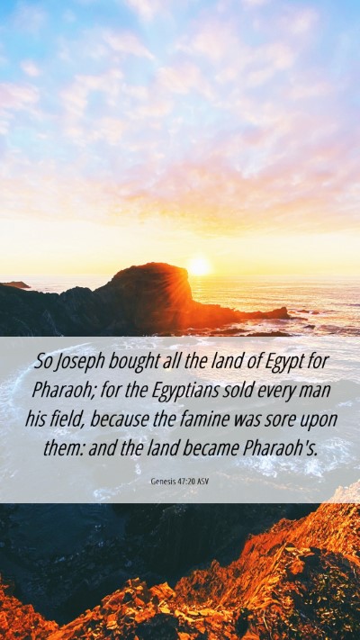 Picture 06 - Genesis 47:20 ASV Mobile Phone Wallpaper - So Joseph bought all the land of Egypt for - Mobile Bible Verse Wallpaper