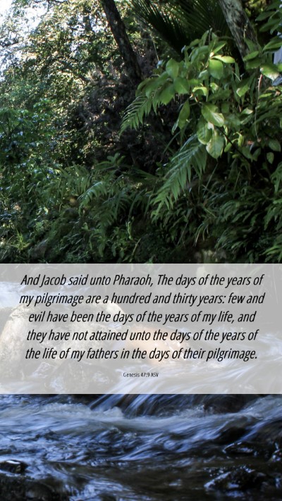 Picture 06 - Genesis 47:9 ASV Mobile Phone Wallpaper - And Jacob said unto Pharaoh, The days of the - Mobile Bible Verse Wallpaper