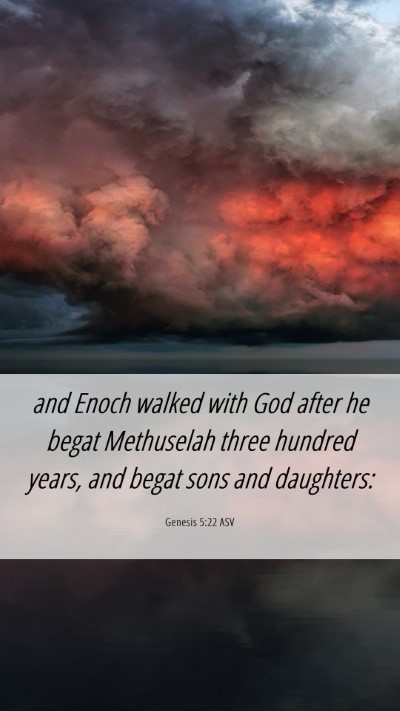 Picture 06 - Genesis 5:22 ASV Mobile Phone Wallpaper - and Enoch walked with God after he begat - Mobile Bible Verse Wallpaper