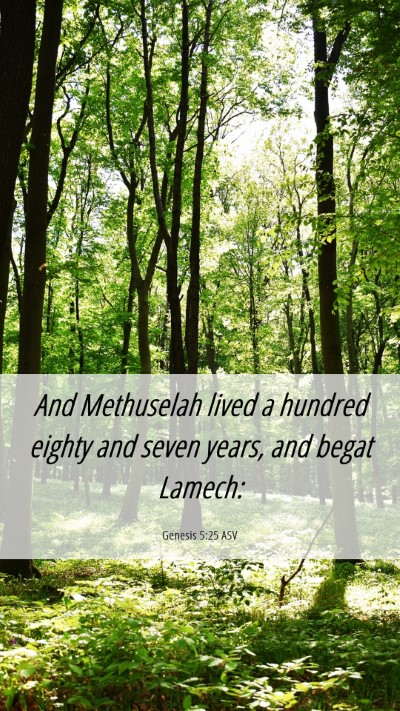 Picture 06 - Genesis 5:25 ASV Mobile Phone Wallpaper - And Methuselah lived a hundred eighty and seven - Mobile Bible Verse Wallpaper