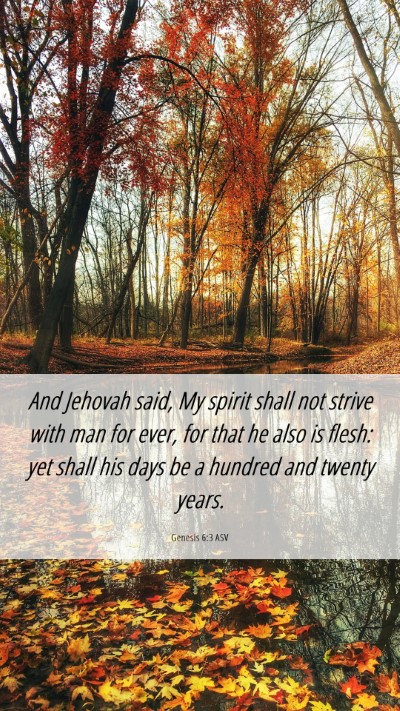 Picture 06 - Genesis 6:3 ASV Mobile Phone Wallpaper - And Jehovah said, My spirit shall not strive with - Mobile Bible Verse Wallpaper