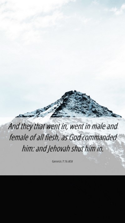 Picture 06 - Genesis 7:16 ASV Mobile Phone Wallpaper - And they that went in, went in male and female of - Mobile Bible Verse Wallpaper