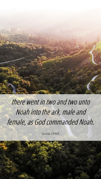Picture 06 - Genesis 7:9 ASV Mobile Phone Wallpaper - there went in two and two unto Noah into the ark, - Mobile Bible Verse Wallpaper