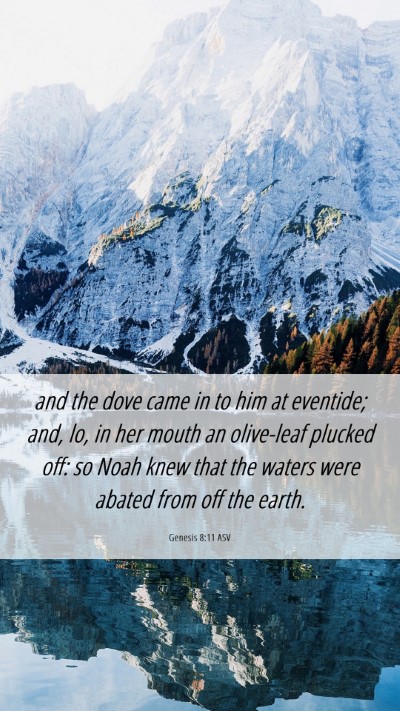 Picture 06 - Genesis 8:11 ASV Mobile Phone Wallpaper - and the dove came in to him at eventide; and, lo, - Mobile Bible Verse Wallpaper
