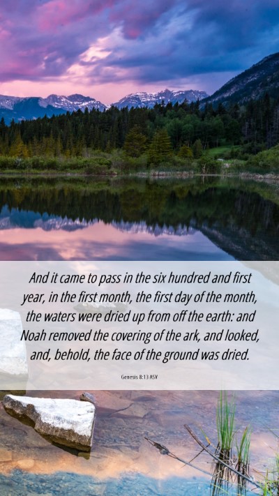 Picture 06 - Genesis 8:13 ASV Mobile Phone Wallpaper - And it came to pass in the six hundred and first - Mobile Bible Verse Wallpaper