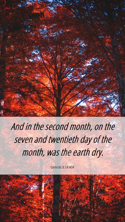 Picture 06 - Genesis 8:14 ASV Mobile Phone Wallpaper - And in the second month, on the seven and - Mobile Bible Verse Wallpaper