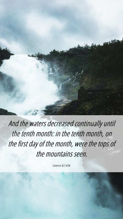 Picture 06 - Genesis 8:5 ASV Mobile Phone Wallpaper - And the waters decreased continually until the - Mobile Bible Verse Wallpaper