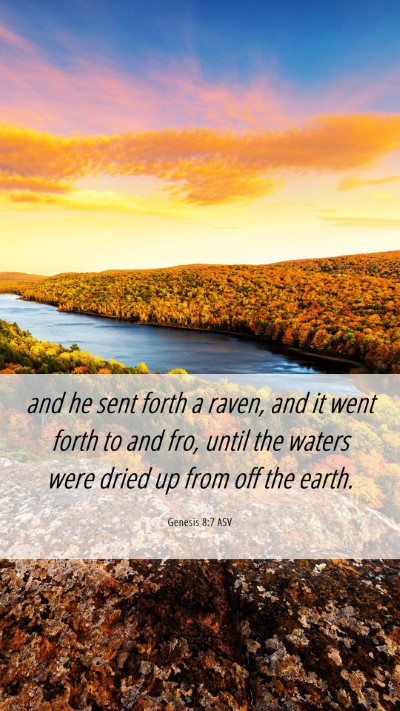 Picture 06 - Genesis 8:7 ASV Mobile Phone Wallpaper - and he sent forth a raven, and it went forth to - Mobile Bible Verse Wallpaper