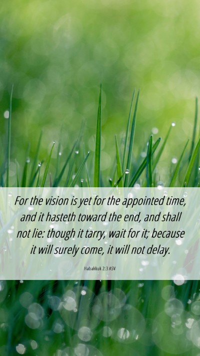 Picture 06 - Habakkuk 2:3 ASV Mobile Phone Wallpaper - For the vision is yet for the appointed time, and - Mobile Bible Verse Wallpaper