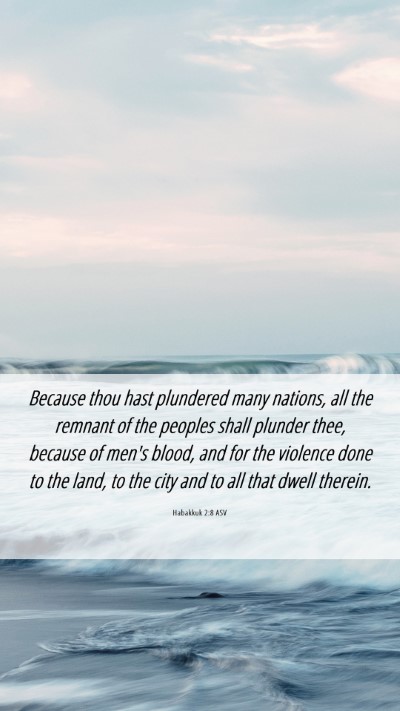 Picture 06 - Habakkuk 2:8 ASV Mobile Phone Wallpaper - Because thou hast plundered many nations, all the - Mobile Bible Verse Wallpaper