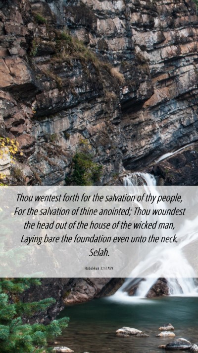 Picture 06 - Habakkuk 3:13 ASV Mobile Phone Wallpaper - Thou wentest forth for the salvation of thy - Mobile Bible Verse Wallpaper