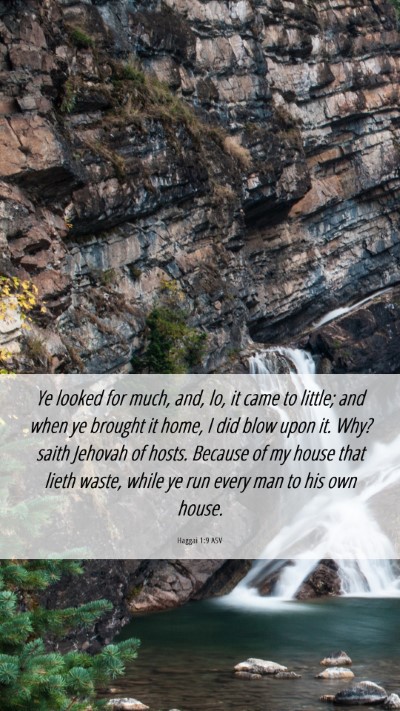 Picture 06 - Haggai 1:9 ASV Mobile Phone Wallpaper - Ye looked for much, and, lo, it came to little; - Mobile Bible Verse Wallpaper