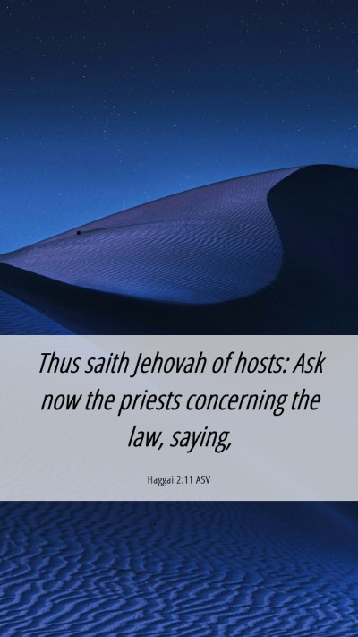 Picture 06 - Haggai 2:11 ASV Mobile Phone Wallpaper - Thus saith Jehovah of hosts: Ask now the priests - Mobile Bible Verse Wallpaper