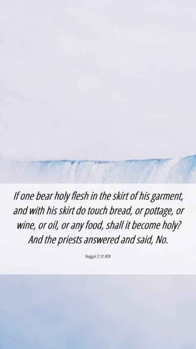 Picture 06 - Haggai 2:12 ASV Mobile Phone Wallpaper - If one bear holy flesh in the skirt of his - Mobile Bible Verse Wallpaper