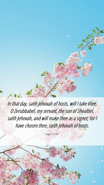 Picture 06 - Haggai 2:23 ASV Mobile Phone Wallpaper - In that day, saith Jehovah of hosts, will I take - Mobile Bible Verse Wallpaper