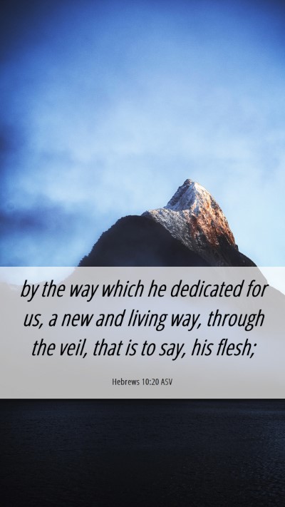 Picture 06 - Hebrews 10:20 ASV Mobile Phone Wallpaper - by the way which he dedicated for us, a new and - Mobile Bible Verse Wallpaper