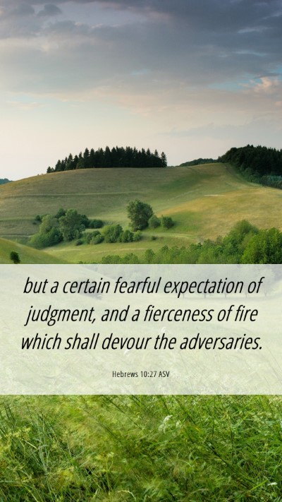 Picture 06 - Hebrews 10:27 ASV Mobile Phone Wallpaper - but a certain fearful expectation of judgment, - Mobile Bible Verse Wallpaper