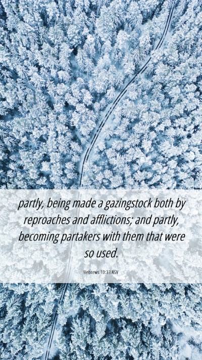 Picture 06 - Hebrews 10:33 ASV Mobile Phone Wallpaper - partly, being made a gazingstock both by - Mobile Bible Verse Wallpaper