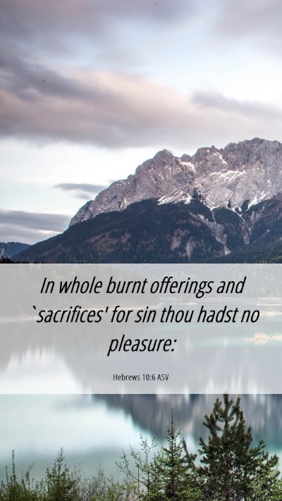 Picture 06 - Hebrews 10:6 ASV Mobile Phone Wallpaper - In whole burnt offerings and `sacrifices' for sin - Mobile Bible Verse Wallpaper