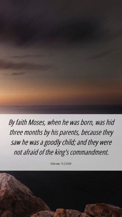 Picture 06 - Hebrews 11:23 ASV Mobile Phone Wallpaper - By faith Moses, when he was born, was hid three - Mobile Bible Verse Wallpaper