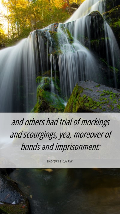 Picture 06 - Hebrews 11:36 ASV Mobile Phone Wallpaper - and others had trial of mockings and scourgings, - Mobile Bible Verse Wallpaper