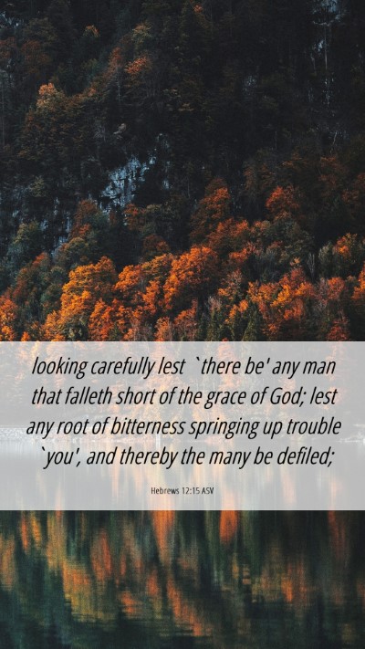 Picture 06 - Hebrews 12:15 ASV Mobile Phone Wallpaper - looking carefully lest `there be' any man that - Mobile Bible Verse Wallpaper