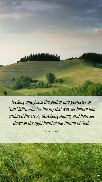 Picture 06 - Hebrews 12:2 ASV Mobile Phone Wallpaper - looking unto Jesus the author and perfecter of - Mobile Bible Verse Wallpaper